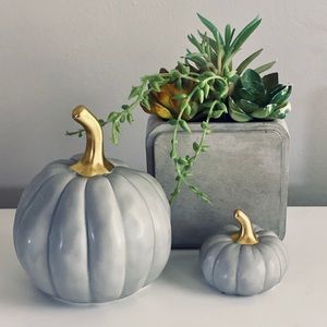 Fall farmhouse decor neutral pumpkins & succulent